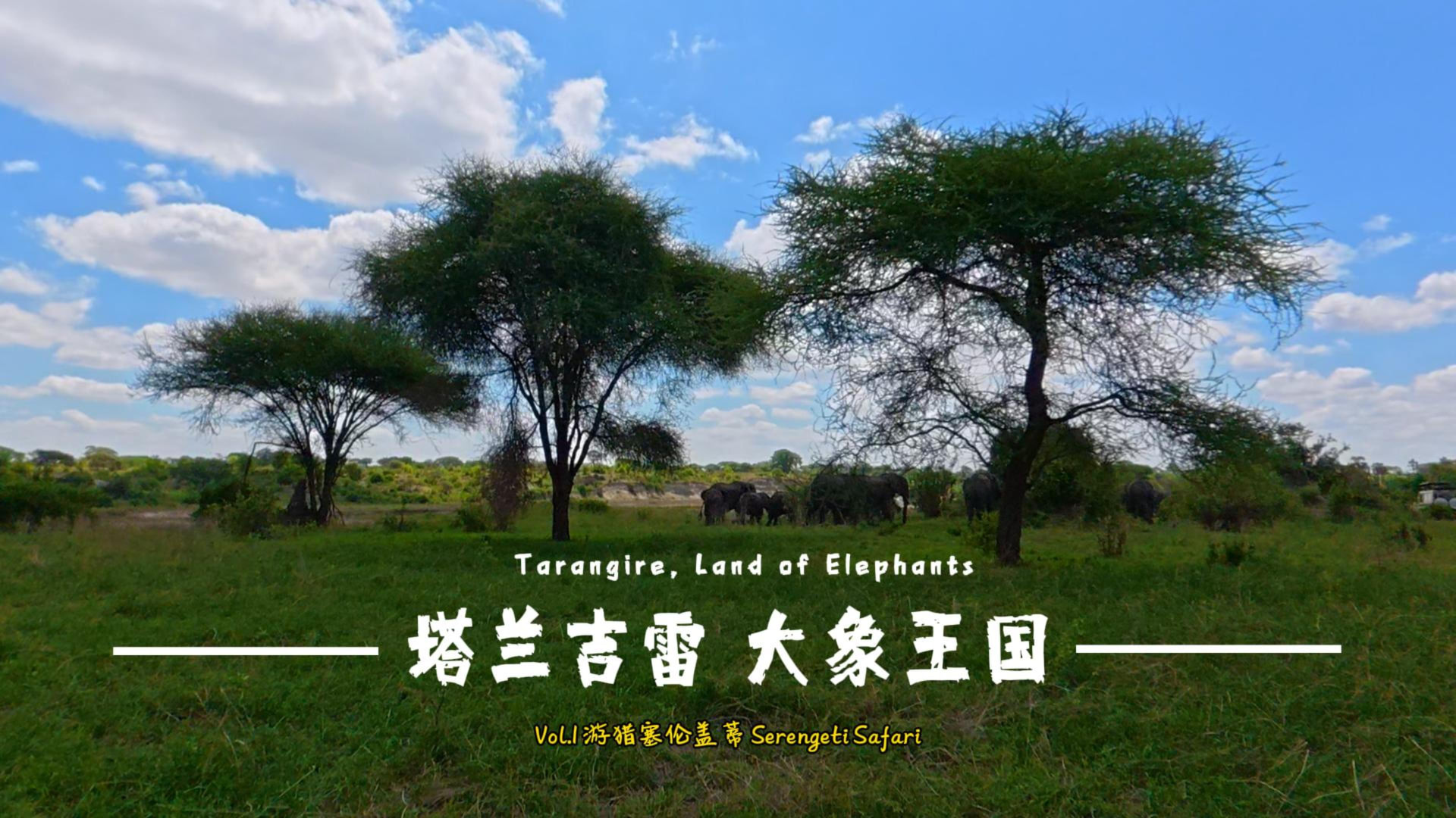 塔兰吉雷 · 大象王国