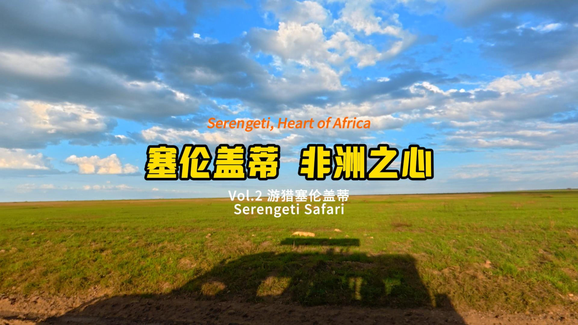 塞伦盖蒂 · 非洲之心