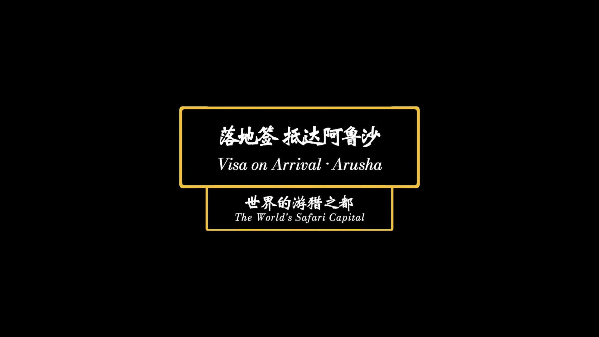 落地签 抵达阿鲁沙