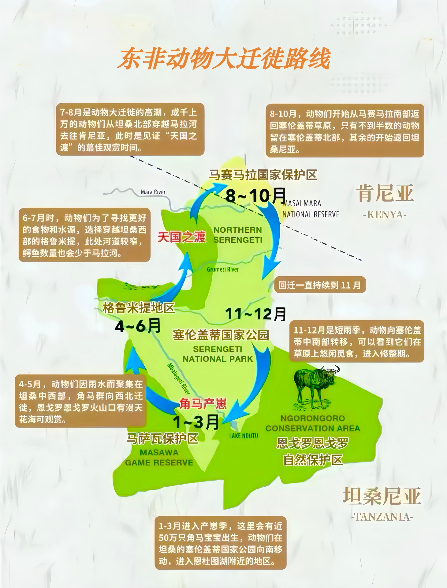 东非动物大迁徙路线图
