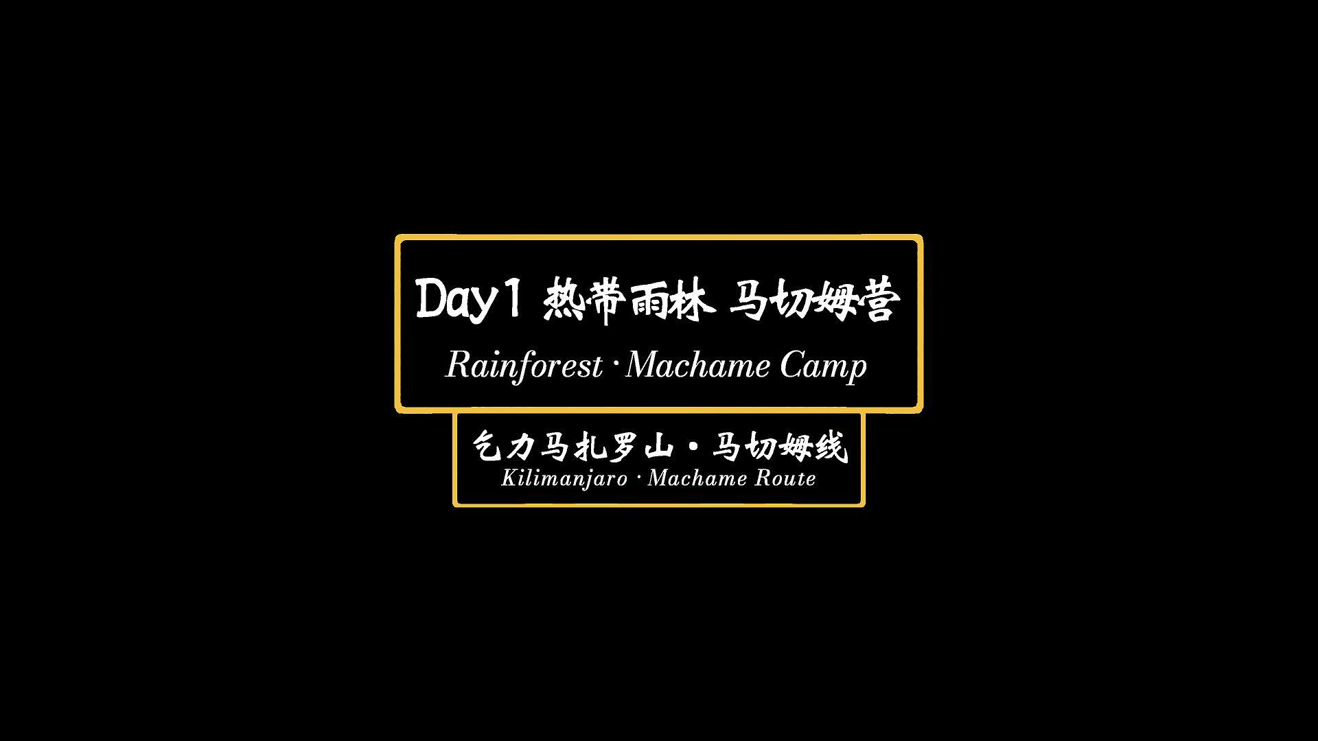 Day1 热带雨林 马切姆营